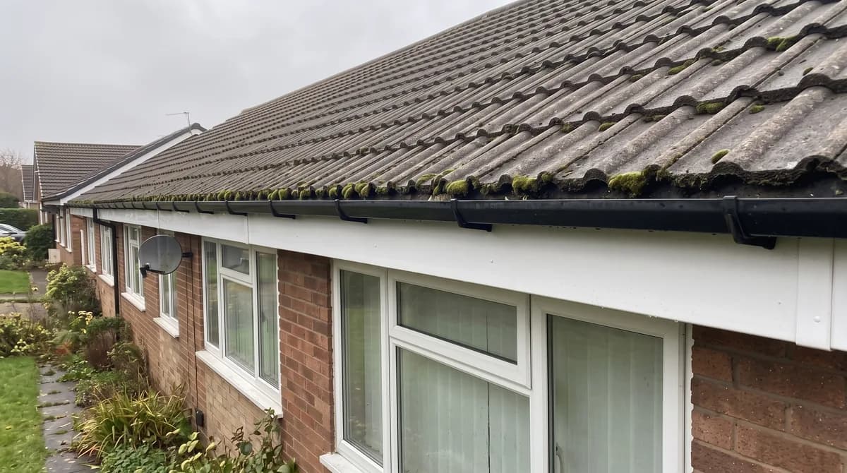 After: Black streaked fascia, then the same fascia washed clean
